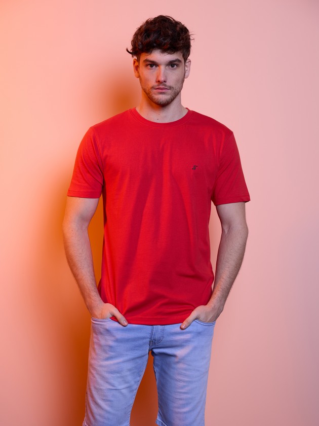 Basic t-shirt with embroidery