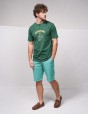 Verde garrafa
