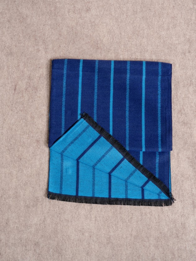 Striped printed scarf