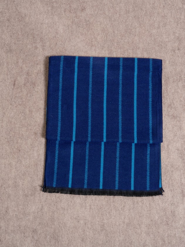 Striped printed scarf