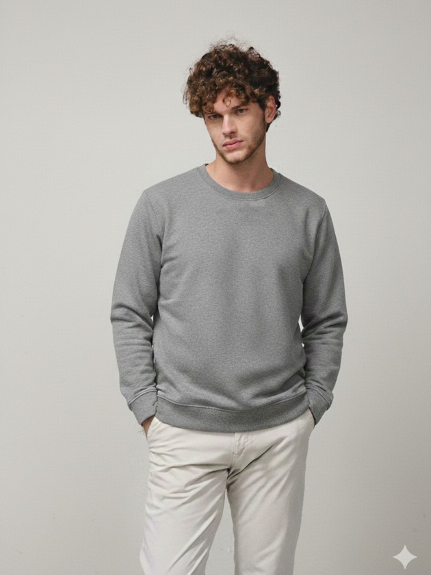 Regular fit crew neck sweatshirt Regular fit crew neck sweatshirt
